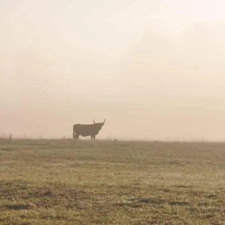 Holiday home Uckermark