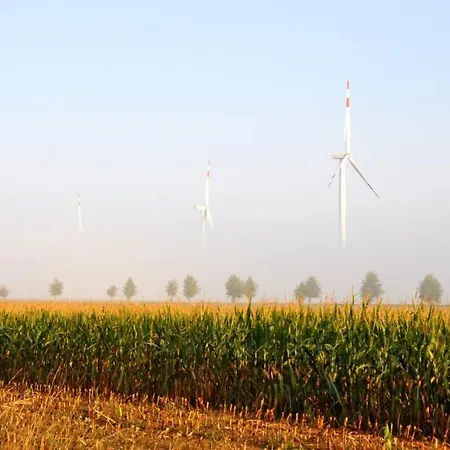 Uckermark Holiday home Woddow