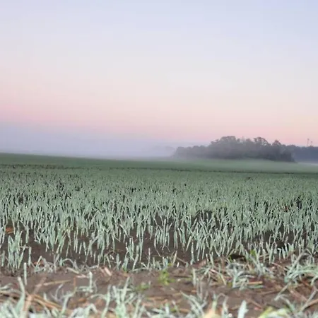 Holiday home Uckermark