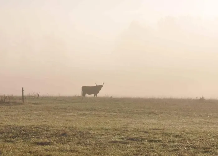 Σπίτι διακοπών Uckermark