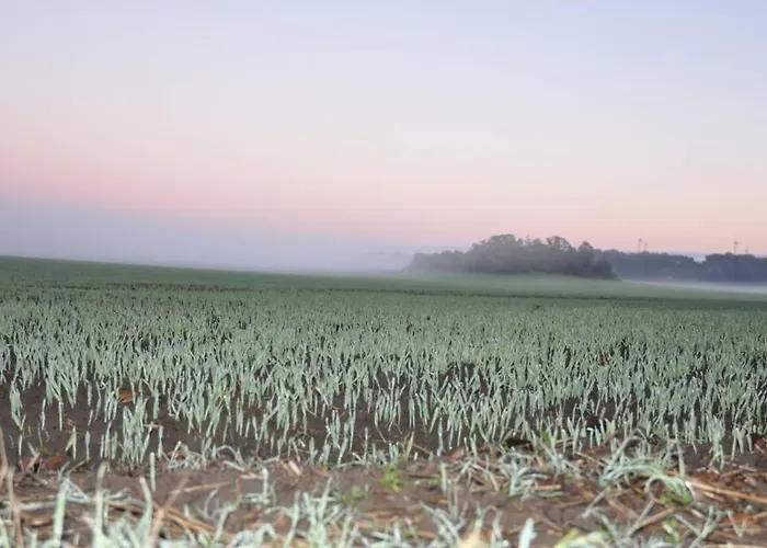 Holiday home Uckermark